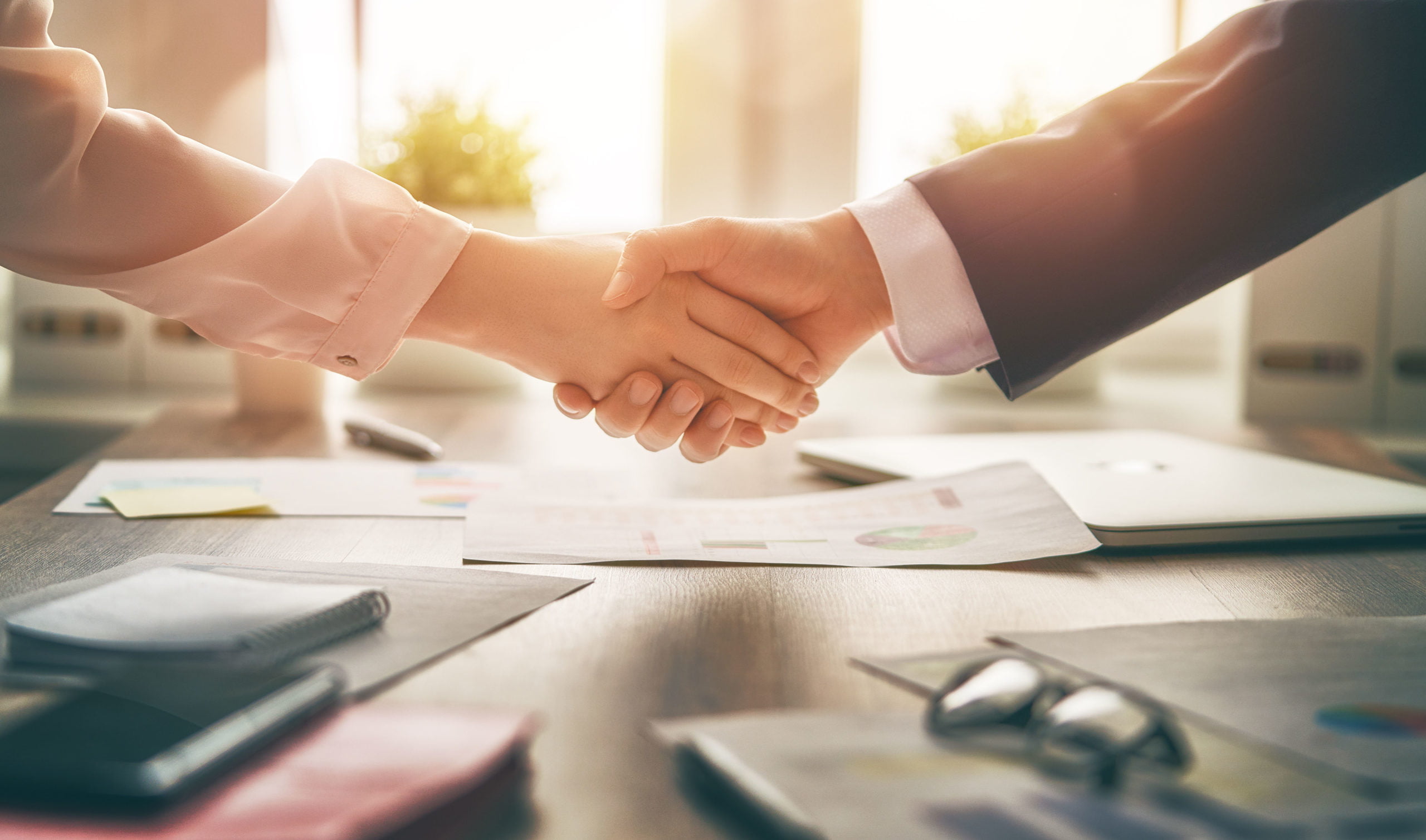 handshaking in office ŽIG Ženski biznis